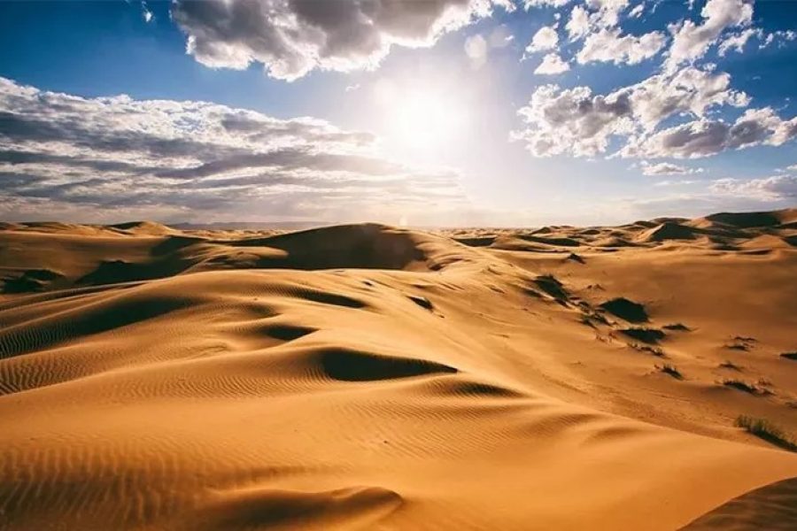 Create a Miracle in the Sahara Desert